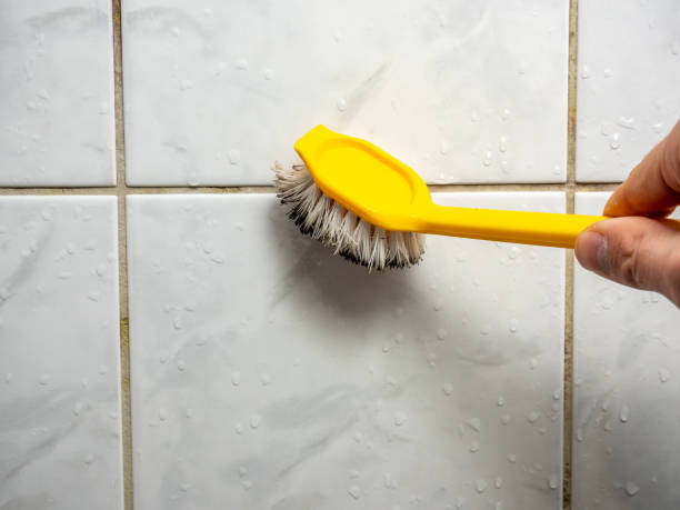 Certified Mold Removal in High Rolls, NM