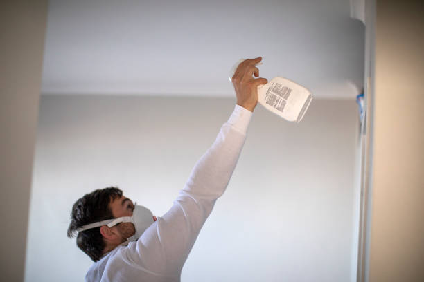Best Same-Day Mold Removal  in High Rolls, NM