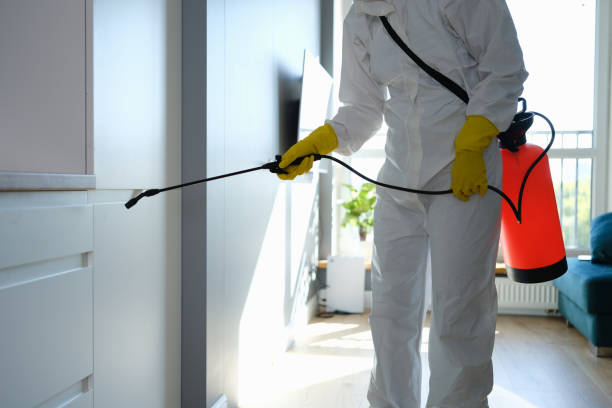 Best Mold Damage Repair  in High Rolls, NM
